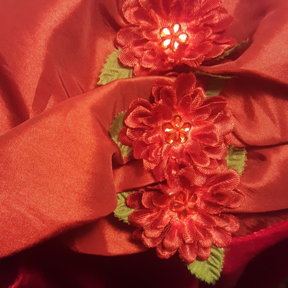 Red Dress - Picture 4 of 5